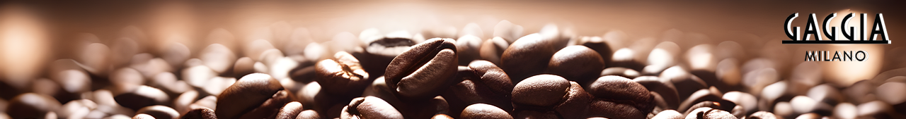 Gaggia – Våra bästa och mest exklusiva Gaggia-modeller